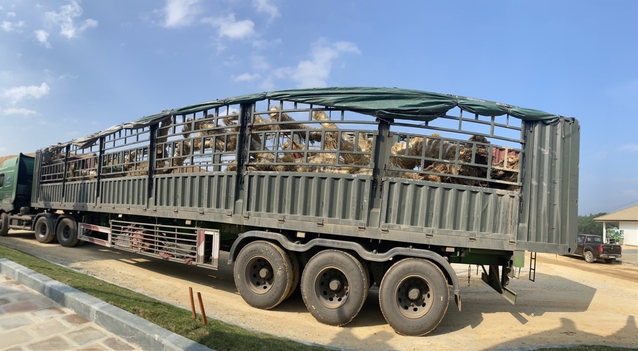 z5496505993665_592fb53769e6ef2842a63275d6062192