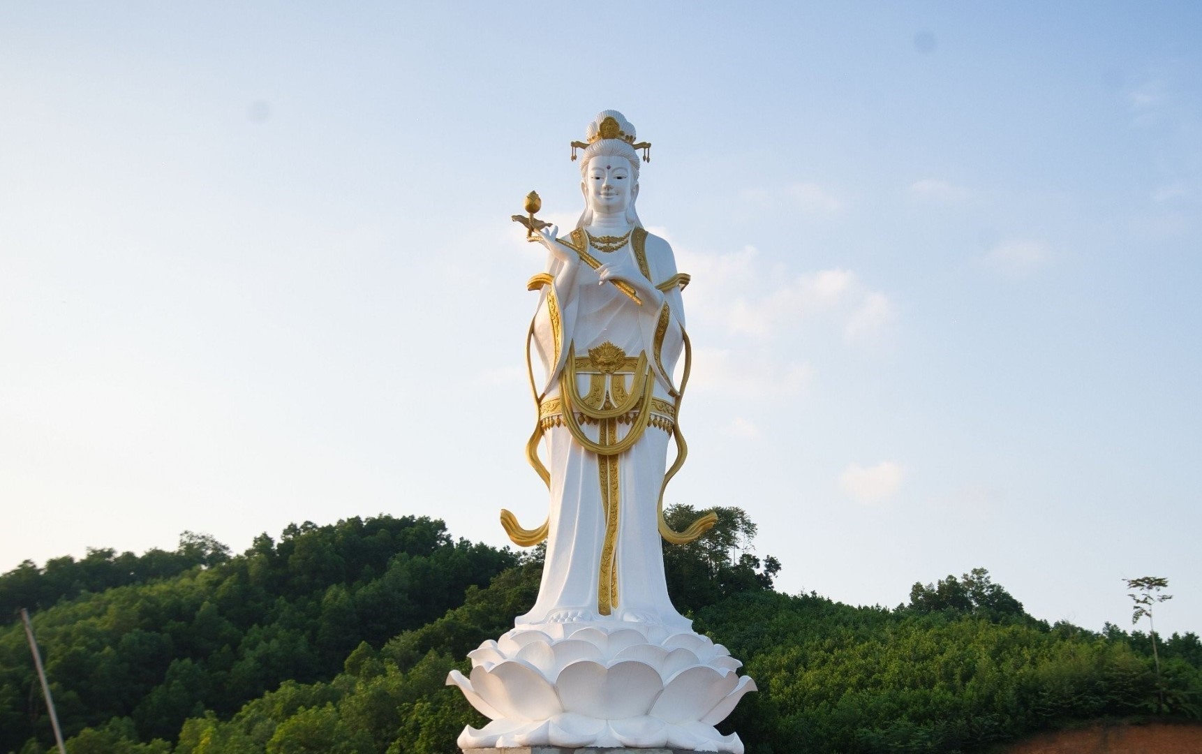 z4748674136764_21326d884550eb470691b73471414a47_1