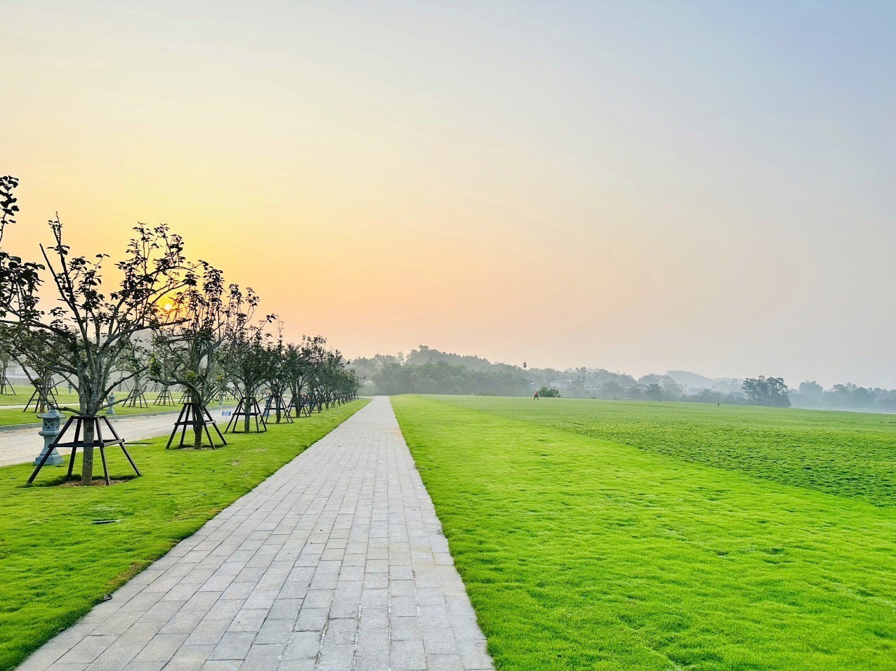 z5468862805868_9765578e57d24fe9d67b65de82c2728b